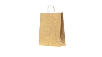 Sacs en Papier